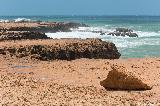 Point Quobba, Blowhole Reserve