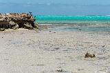 T Bone Bay, Cape Range NP