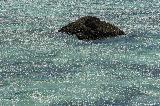 Oyster Stacks, Cape Range NP