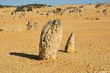 Pinnacles Desert, Nambung NP