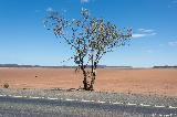 Lake Cowan, Norseman