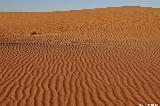 Ramlat al Wahiba