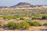 Wadi Batha Woodlands nach Jaalan Bani Bu Ali