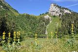 Alplersee und Holzerstock