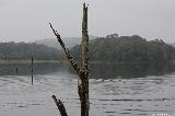 Madurai - Periyar National Park